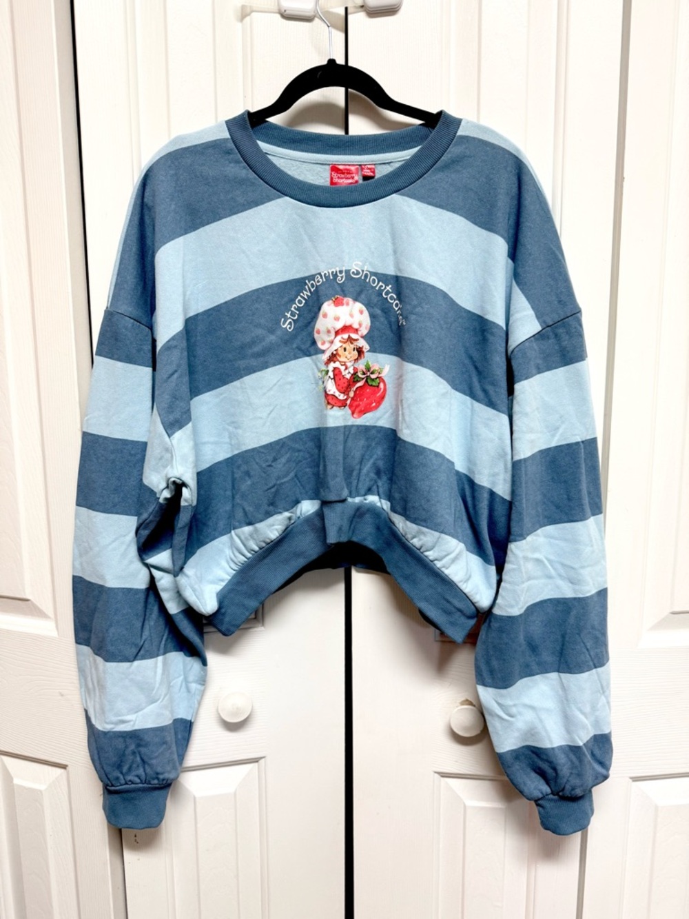 Striped Scoop-Neck Sweater in Blue - Strawberry Shortcake Graphic
